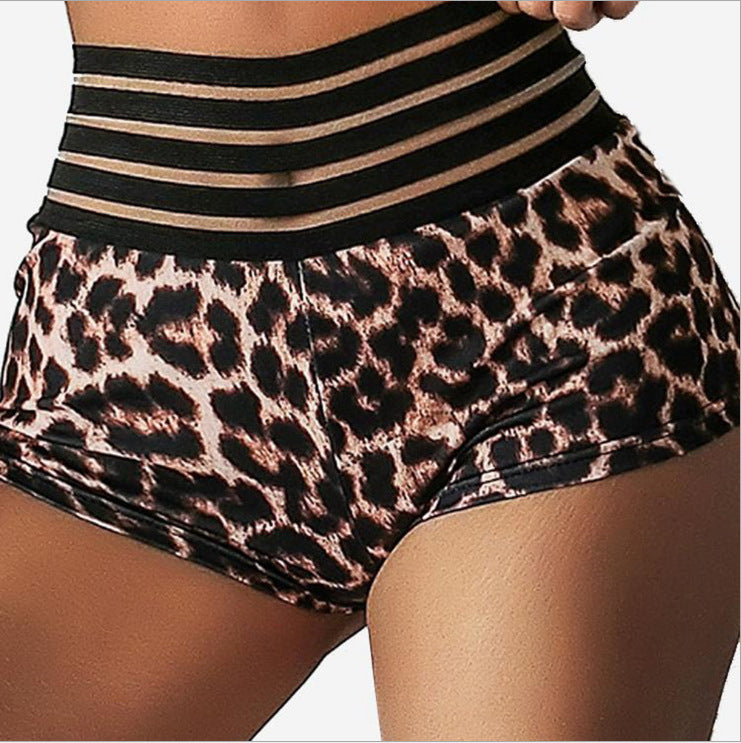 Leopard Print Printed Sexy Bikini High Waist Women Seperated Swimwear